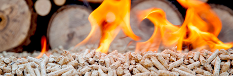 00281_intranet_banner_wood_pellets_460x150